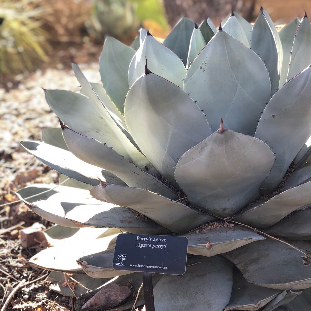 Meet your Posher, Kat